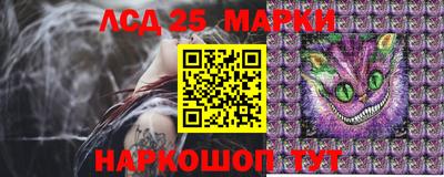 метамфетамин Гатчина