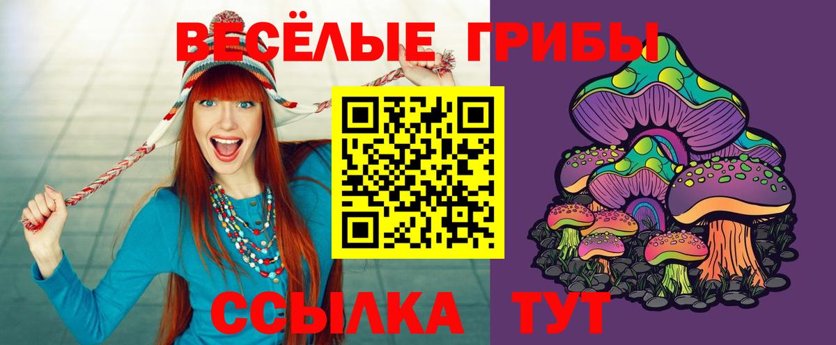 Галлюциногенные грибы Psilocybe Мурино